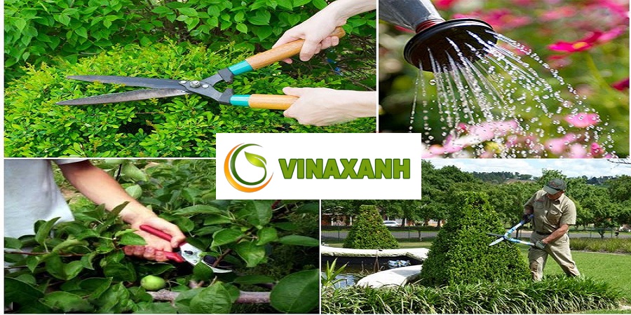 Chăm Sóc Cảnh Quan Quận 1 TPHCM