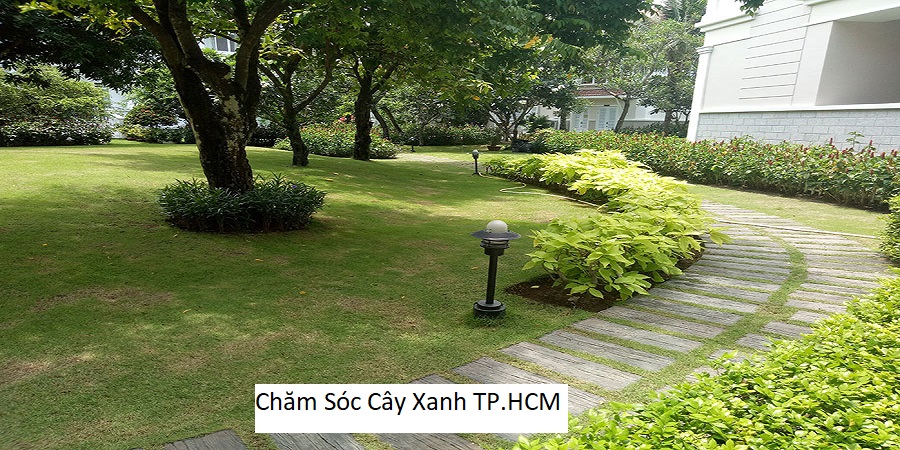 Chăm Sóc Cây Xanh TP.HCM