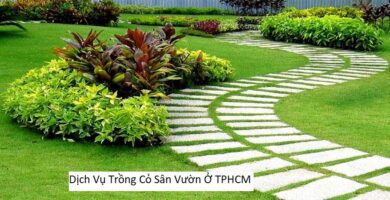 Dịch Vụ Trồng Cỏ Sân Vườn Ở TPHCM