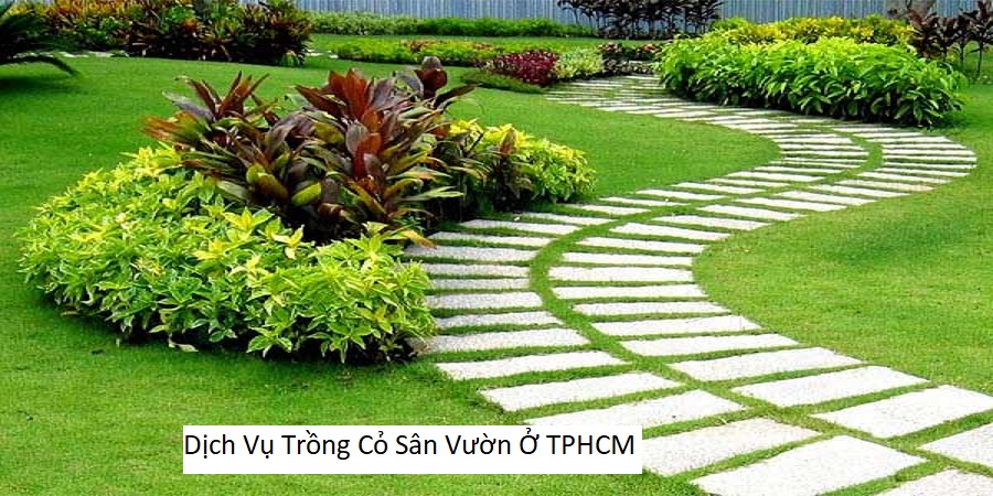 Dịch Vụ Trồng Cỏ Sân Vườn Ở TPHCM