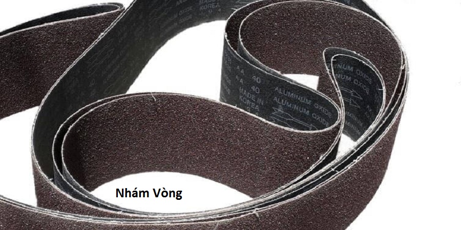 Nhám Vòng