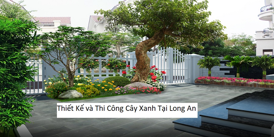 Thiết Kế và Thi Công Cây Xanh Tại Long An